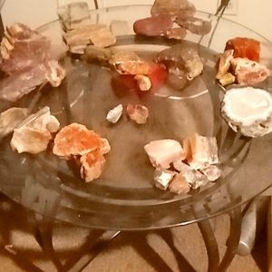 Petrified wood collection